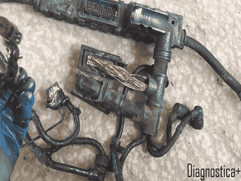 Вот в так выглядит жгут форсунок если его запустить Jgut-Forsunok